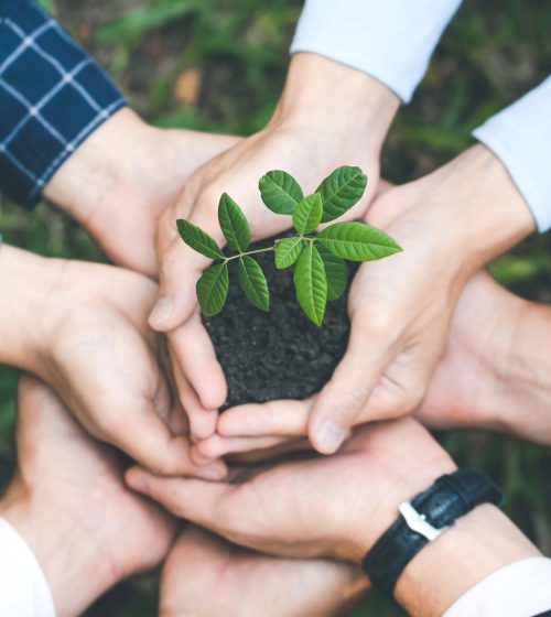 gestión medioambiental